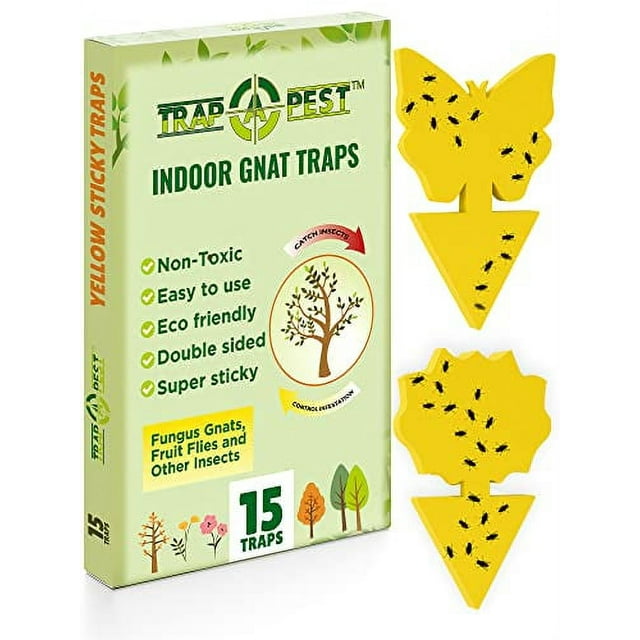 Landisun Fruit Fly Sticky Traps 48PCS Fungus Gnat Traps Bug Traps Gnat Killer for Indoor Outdoor House Kitchen Plants Whitefly Mosquitos Flying Insects Yellow Designed by JPMOS