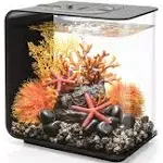 biOrb Flow 15 Aquarium with MCR Light 4 Gallon, Black