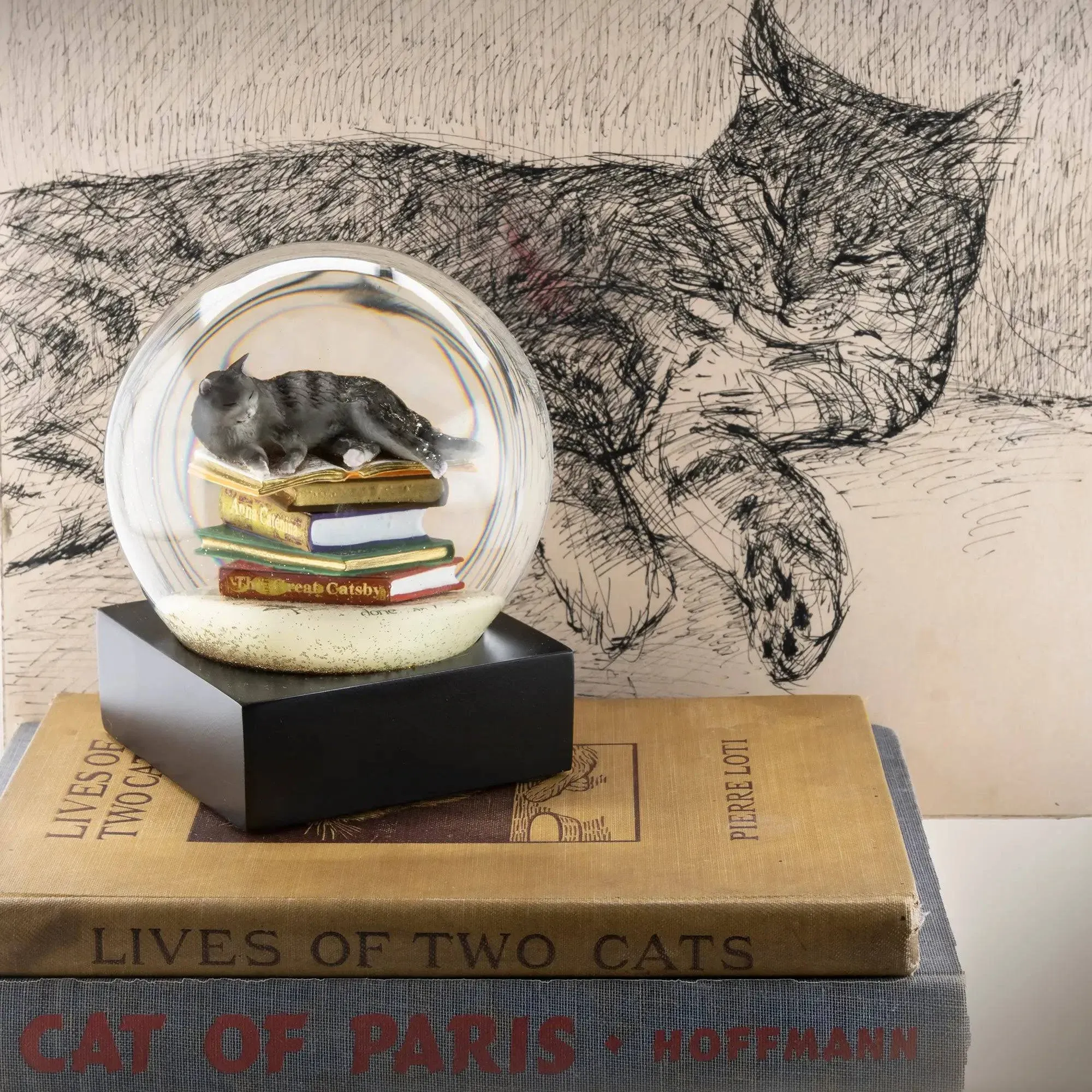 CoolSnowGlobes Cat On Books Snow Globe