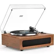 thinkstar All-in-One Vintage Record Player