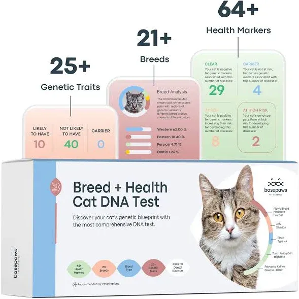 Basepaws Cat DNA Test Kit - Comprehensive Breed, Health and Dental Analysis Across 114 Traits for Accurate and Easy-to-Use Genetic Insights