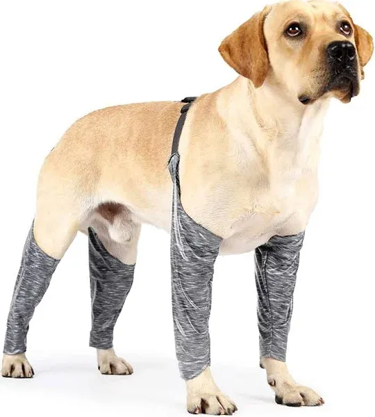 Dog Leggings to Prevent Licking