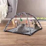 Petmaker Foldable Cat and Kitten Play Activity Center with 4 Hanging T