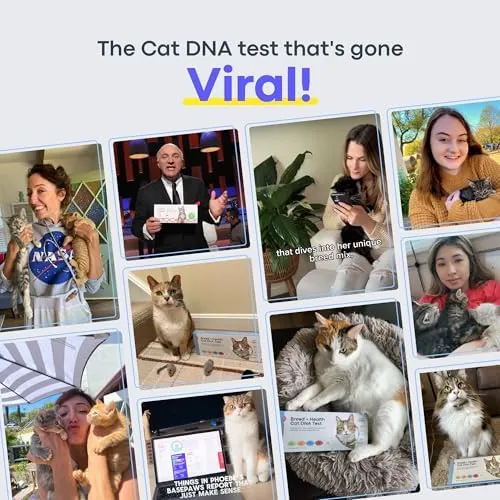 Basepaws Breed + Health DNA Test: At-Home Cat Genetics Test