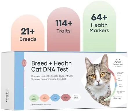 Basepaws Cat DNA Test Kit - Comprehensive Breed, Health and Dental Analysis Across 114 Traits for Accurate and Easy-to-Use Genetic Insights (Cat Whole Genome Sequencing, Basic)