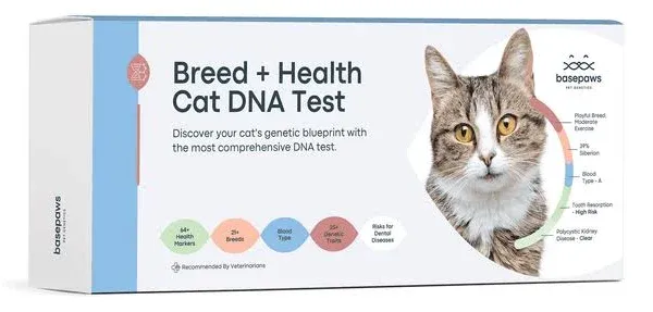 Basepaws Breed + Health DNA Test