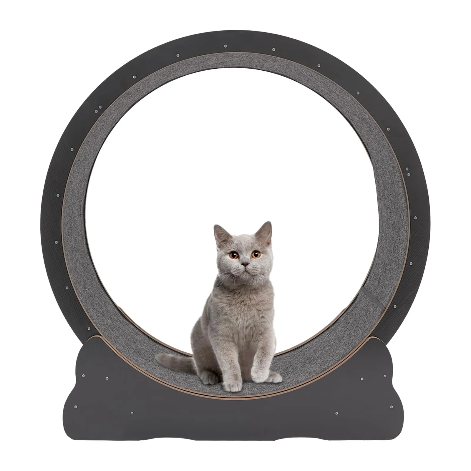 RYpetmia Running Wheel Cat Treadmill with Catnip