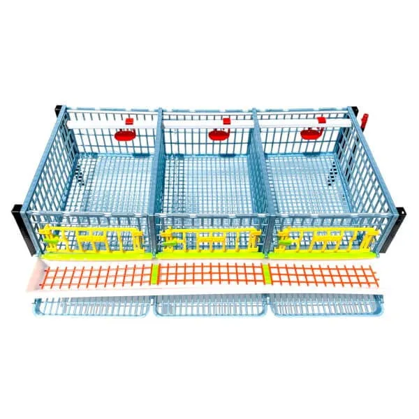 Quail Breeding Cage Indoor: 2 Layer Stackable Quail Coops, Quail Pens, Easy Clean, Rust-Free, Easy Egg Collection (2024 Upgrades: Longer Waste Tray, Removable Middle Walls) Cimuka by Hatching Time