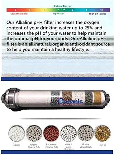 Premier 6 Stage- Inline Alkaline | KDF | Mineral Ph Balancing Drinking Water Filter | 2"x 10"