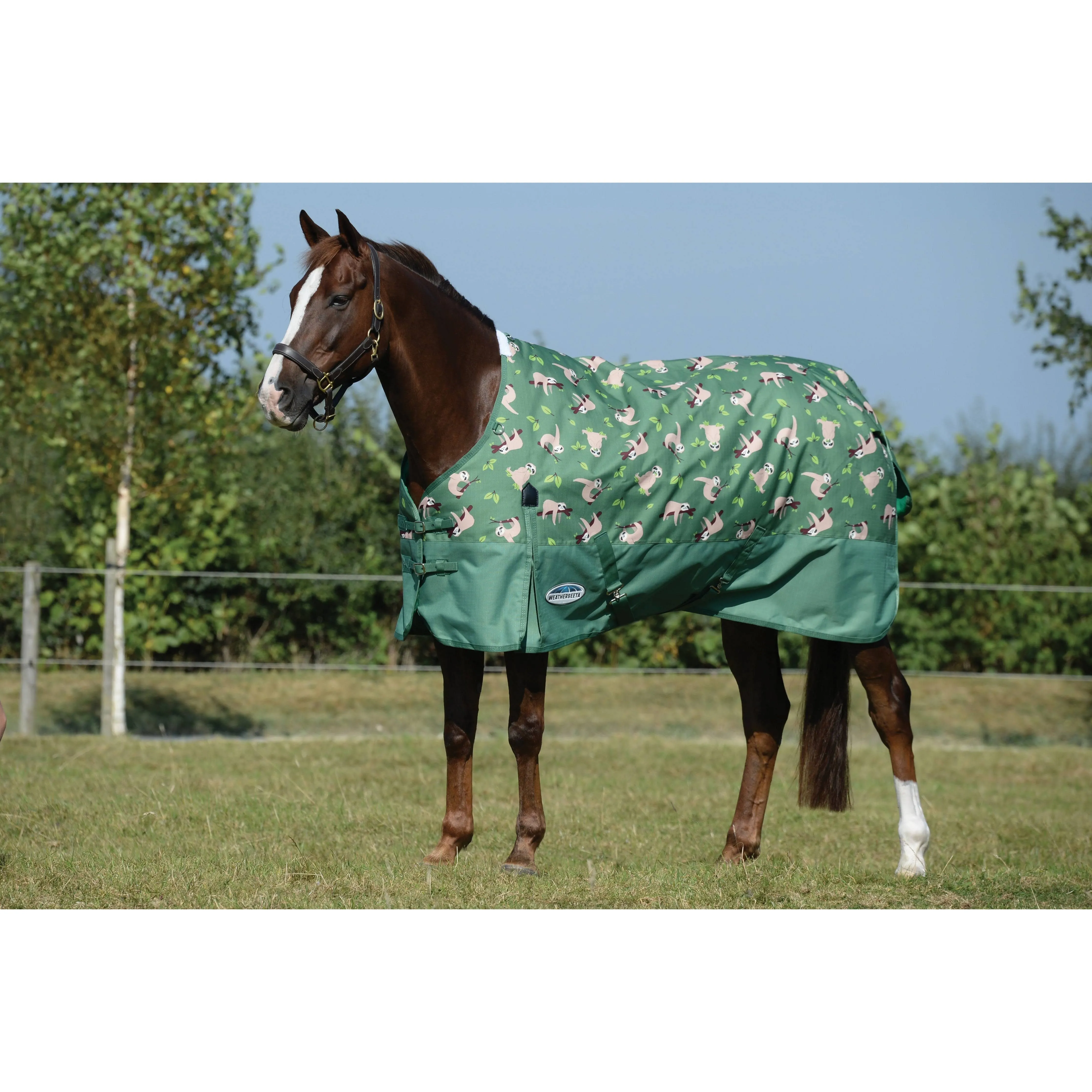 WeatherBeeta ComFiTec Essential Standard Neck Medium Turnout Blanket