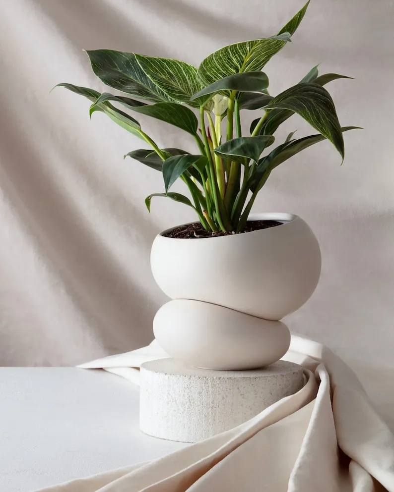 Light + Ladder: Fondra Ceramic Self Watering Pot