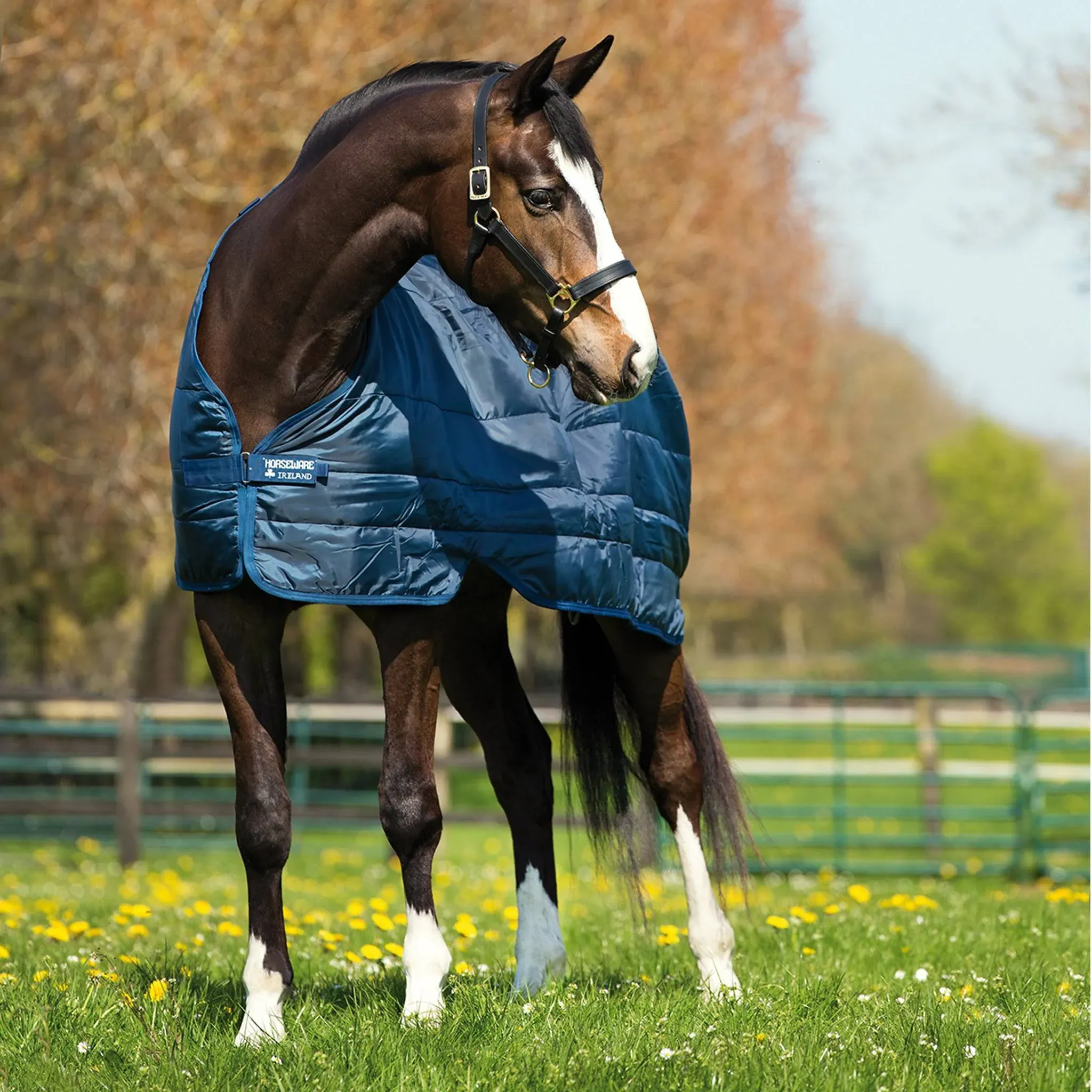 Horseware Liner 100g - Navy