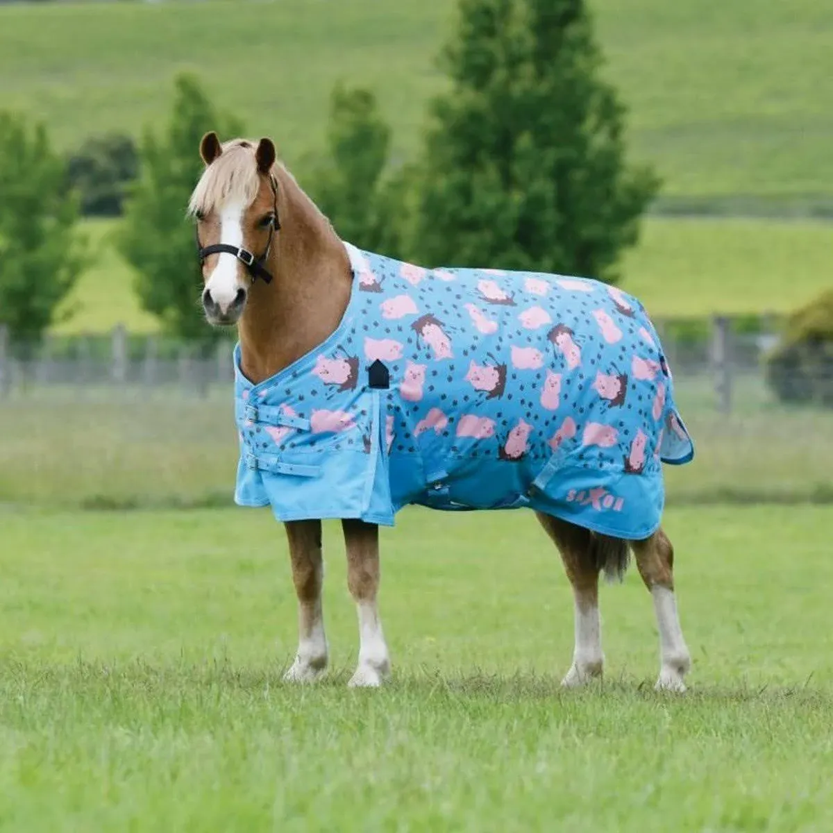 Saxon 600D Pig Print Pony Combo Blanket 60”