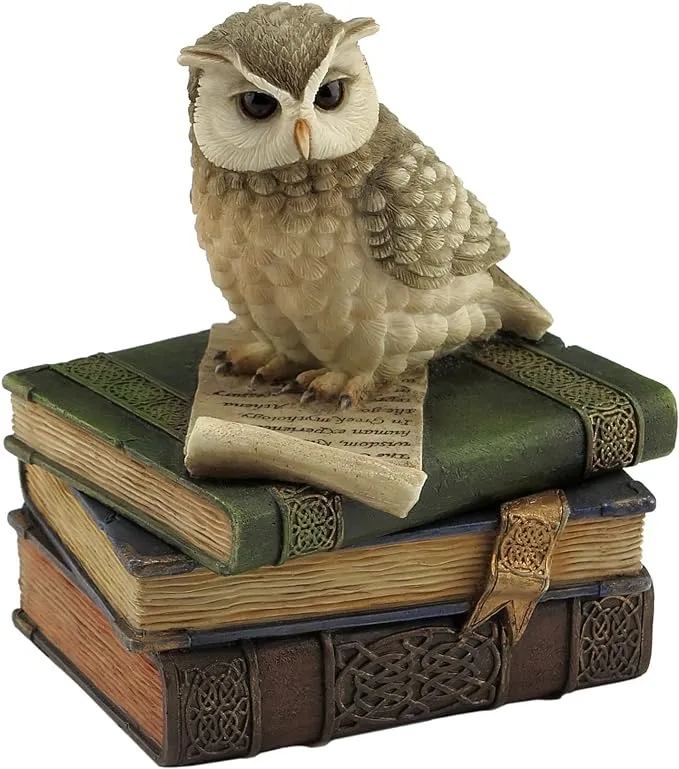 US 4.5 Inch Collared Scops Owl on Books Decorative Trinket Box, Brown