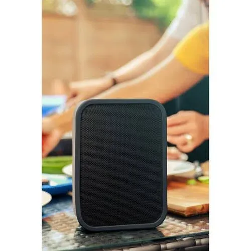 Bluesound Pulse Flex 2i Wireless Speaker