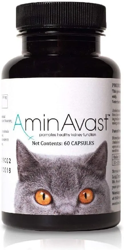 AminAvast Kidney Support Supplement for Cats and Dogs, 300mg - Promotes Natural Kidney Function - Aids in Health and Vitality of Aging Kidneys - Easily Administered - 60 Sprinkle Capsules