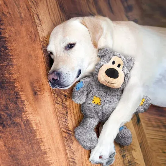 KONG Wild Knots Bear & Signature Balls (2 Pack) - Soft Bear Chew Toy with Rope Interior - Durable Dog Balls for Fetch - for Small Dogs