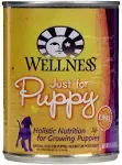 Wellness Complete Health Natural Wet Canned Puppy Food, Puppy Chicken & Salmon 12.5-Ounce Can (Pack of 12)