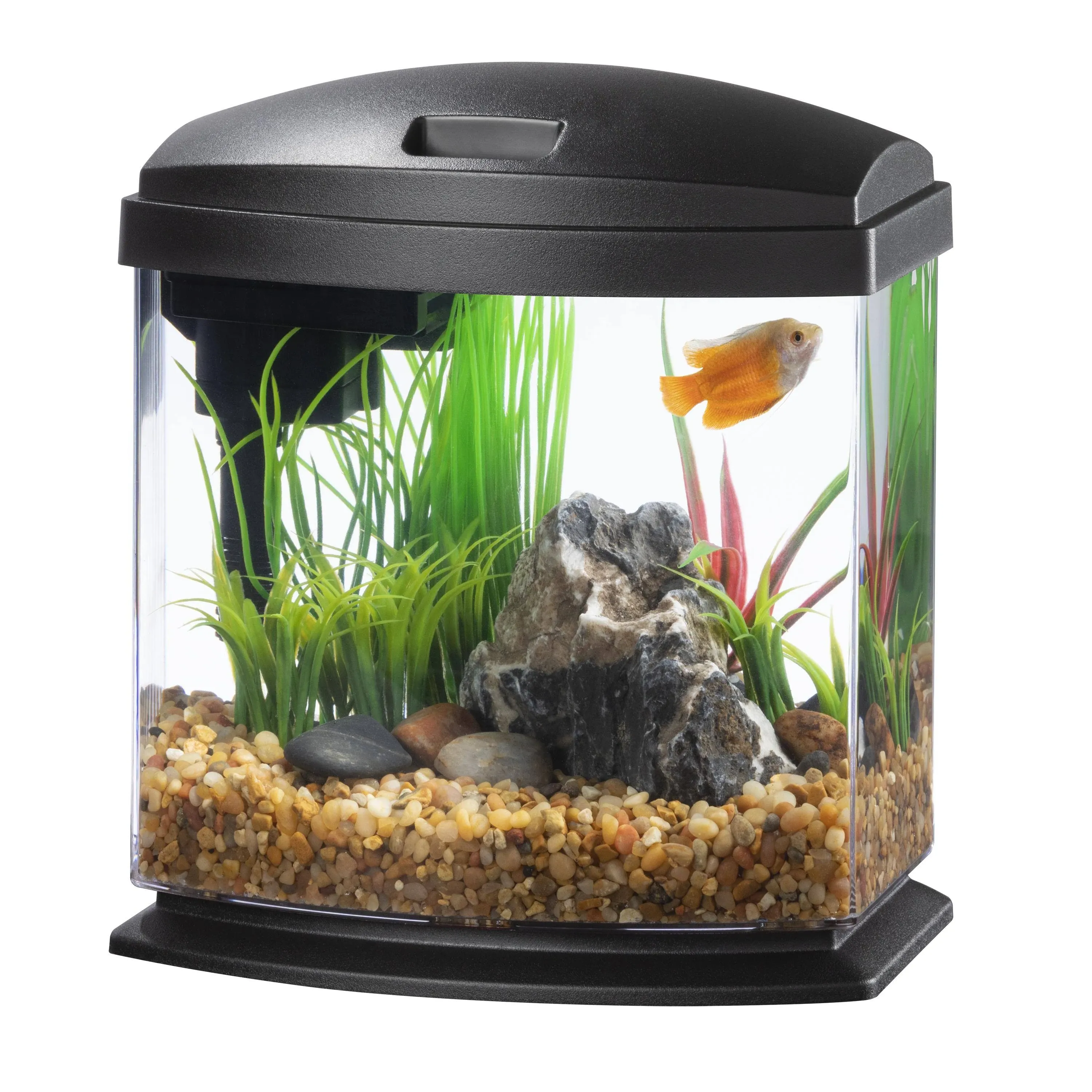 Aqueon LED MiniBow SmartClean Aquarium Kit Black 2.5 Gallon