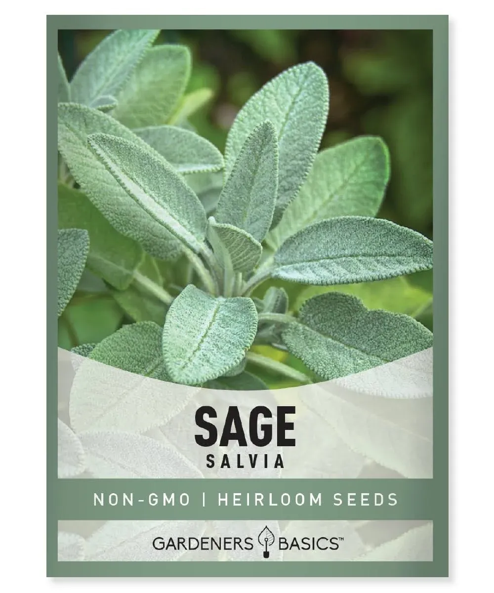 Broadleaf Sage Seeds