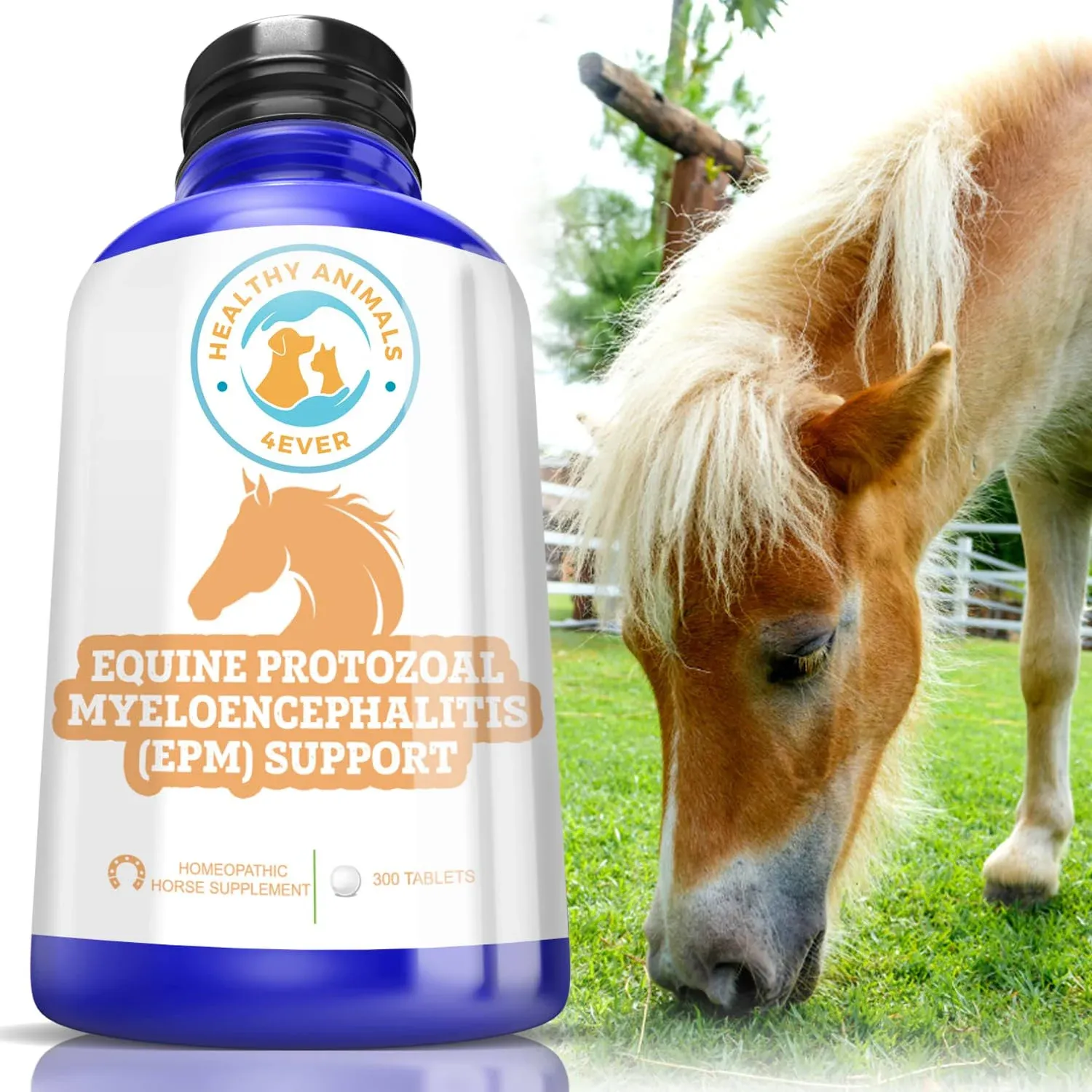 EQUINE PROTOZOAL MYELOENCEPHALITIS (EPM) SUPPORT