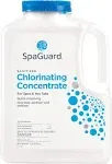 SpaGuard Chlorinating Concentrate - 2 lbs