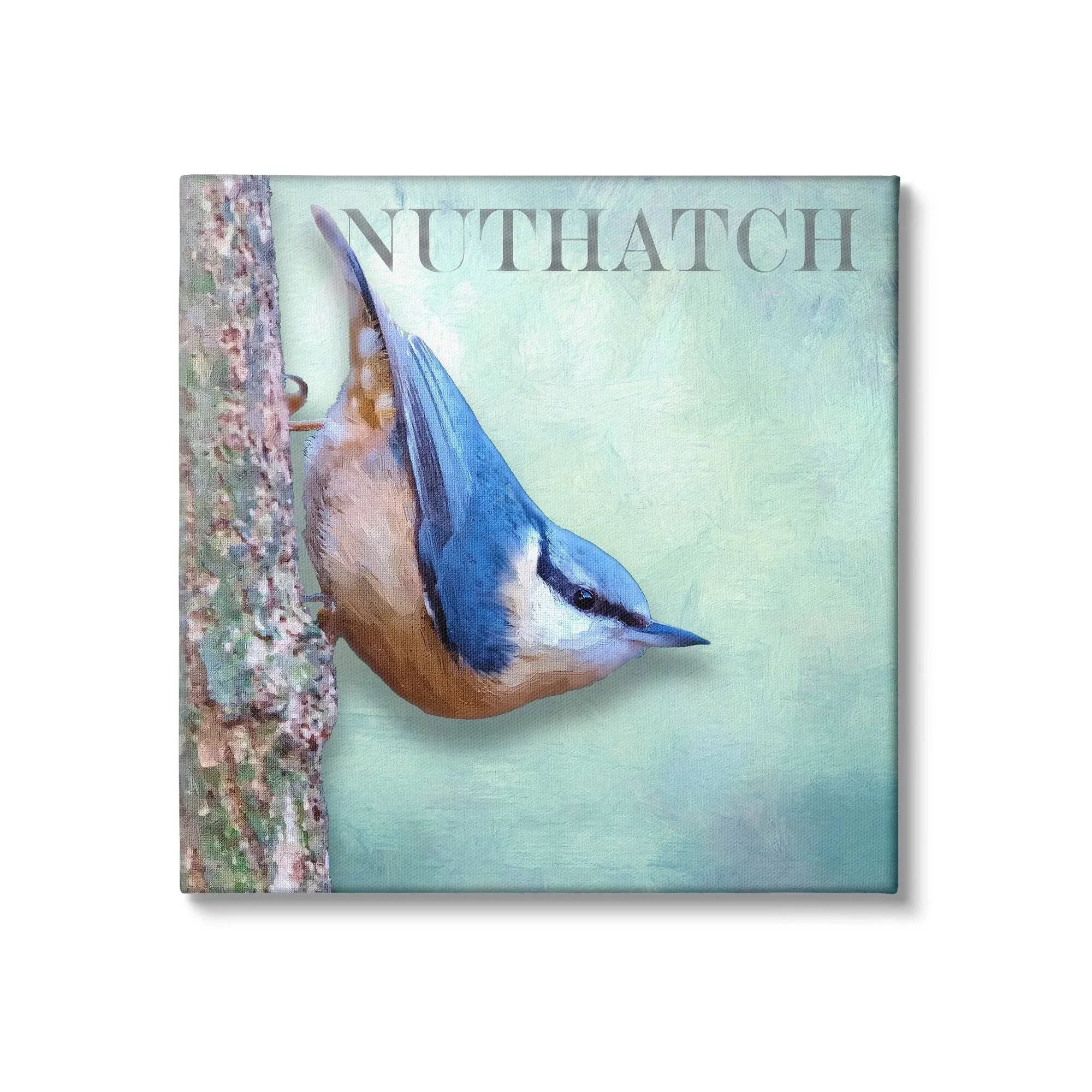 Stupell Industries Blue Nuthatch Bird Climbing Tree Forest Wildlife Canvas Wall Art, Design by Alpenglow Workshop