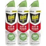 Raid Essentials Ant Roach Killer