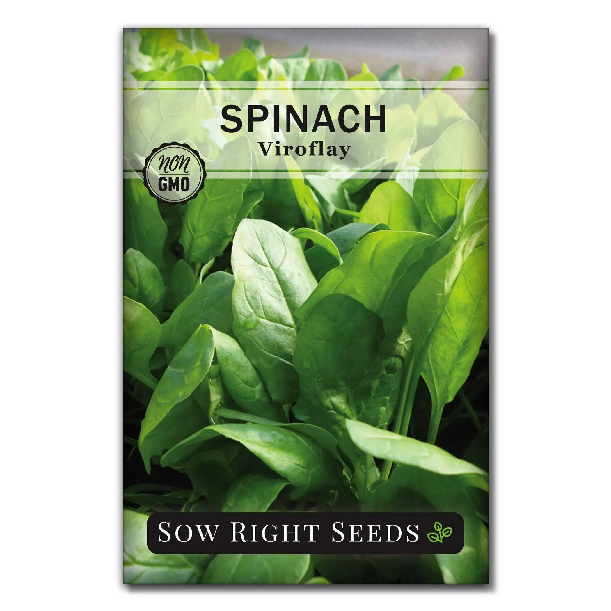 Sow Right Seeds - Viroflay Spinach Seed for Planting - Non-GMO Heirloom Packet with Instructions to Plant a Vegetable Garden - Grow Leafy Green Nutritious Superfood - Hydroponic Growing Friendly (1)